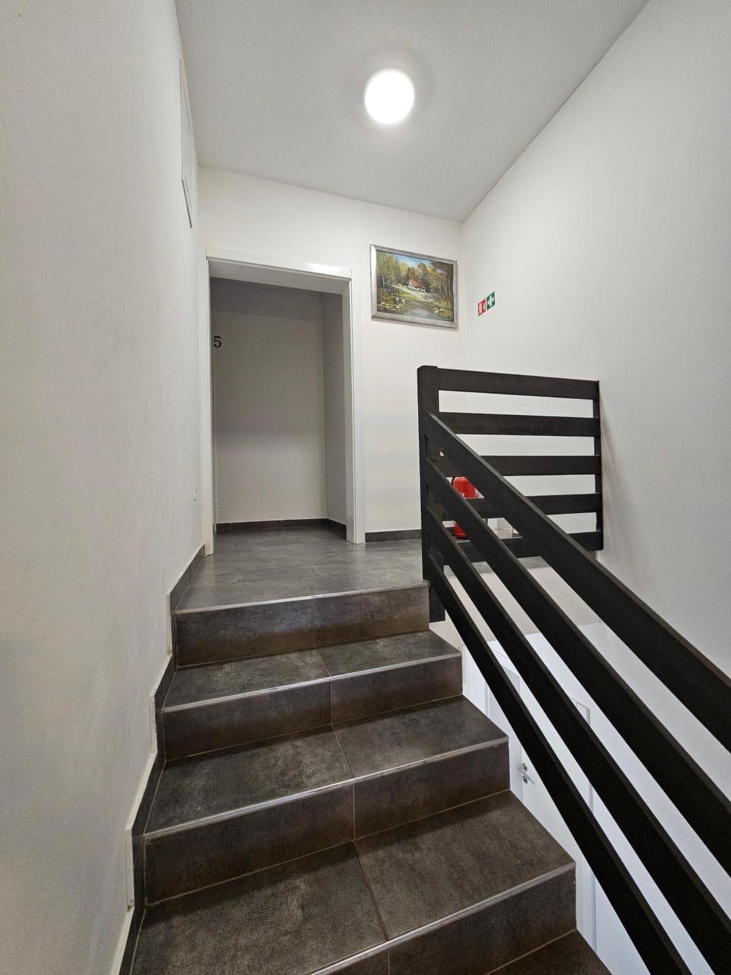 Filipovic Rent A Car & Apartments Selnica Scitarjevska ภายนอก รูปภาพ
