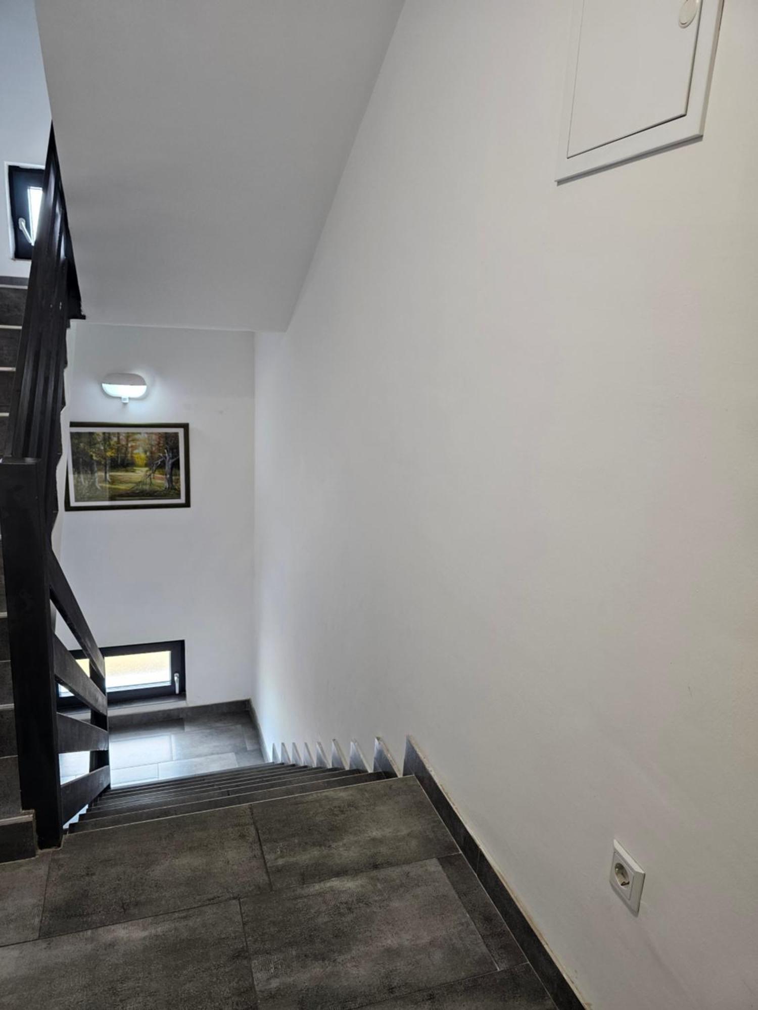 Filipovic Rent A Car & Apartments Selnica Scitarjevska ภายนอก รูปภาพ